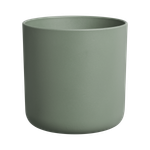 amazing avocado pot laubgrün